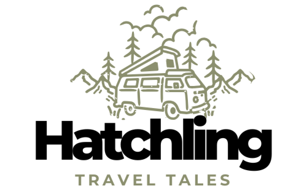 Hatchling's Travels